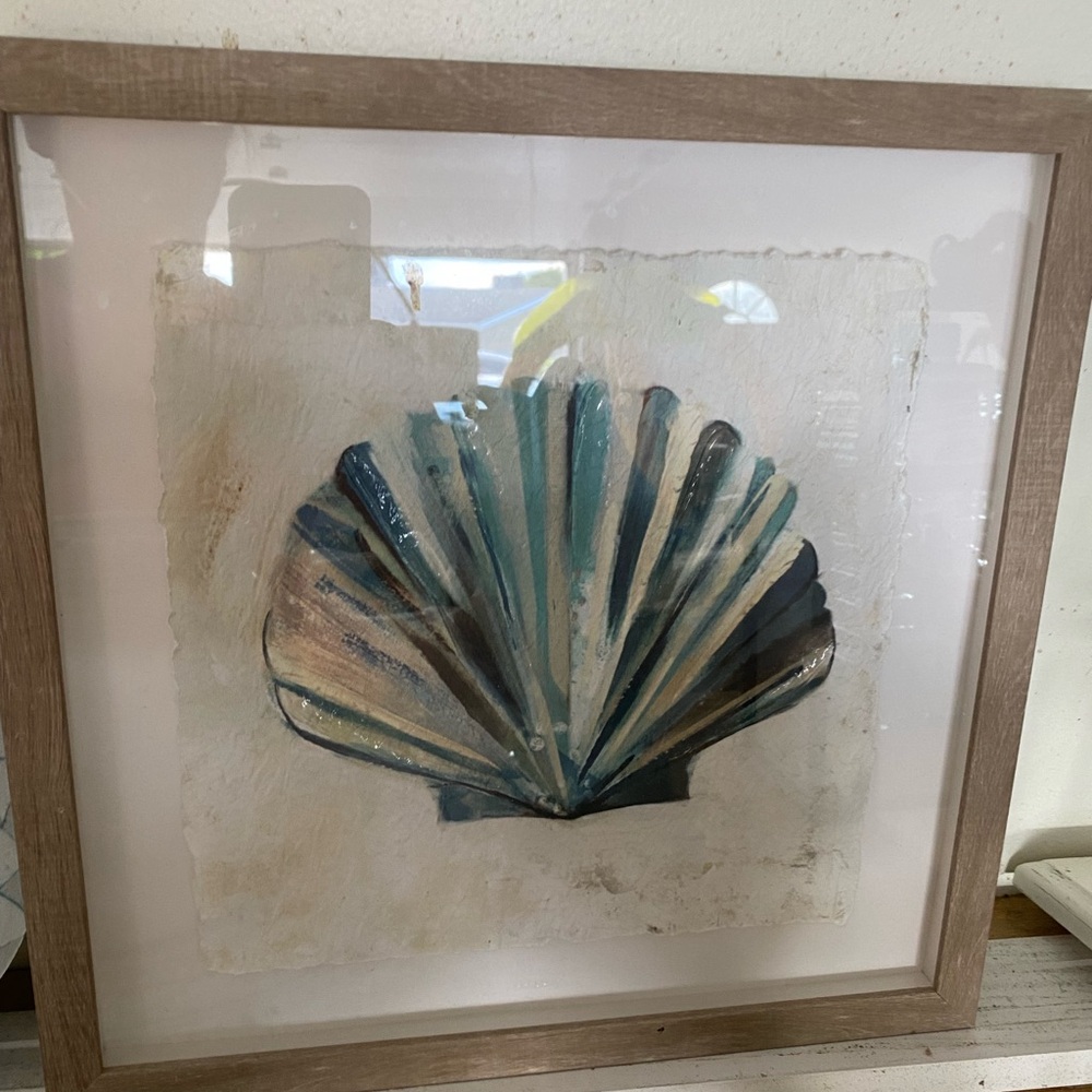 Shell picture